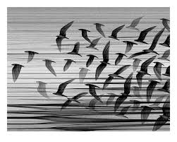 “Migration South”, by Kai and Sunny